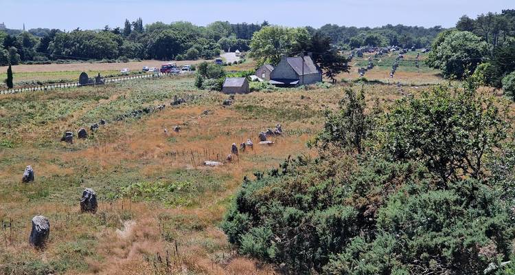Vue aérienne sur de longues rangées de pierres dressées anciennes s'étendant sur un paysage d'herbe sèche.