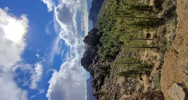Scène verticale d'un pic rocheux au-dessus d'une forêt dense de pins sous un soleil éclatant et des nuages.