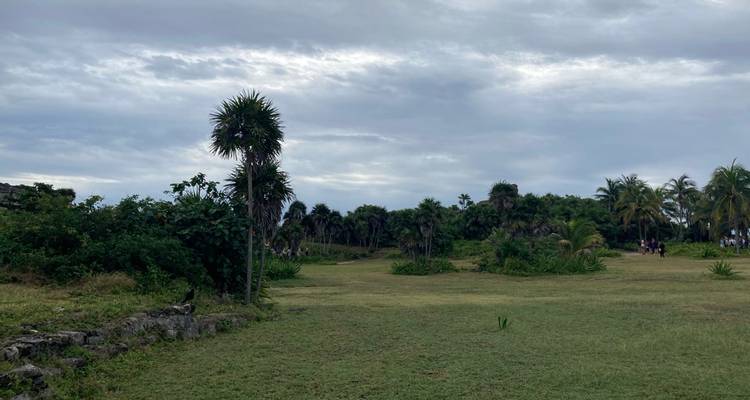 Zone herbeuse ouverte avec des palmiers épars et des visiteurs lointains sous un ciel gris près des ruines mayas
