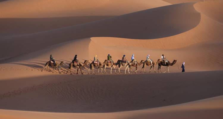 Une longue caravane de chameaux transportant des voyageurs serpente à travers les dunes doucement illuminées à l'aube.