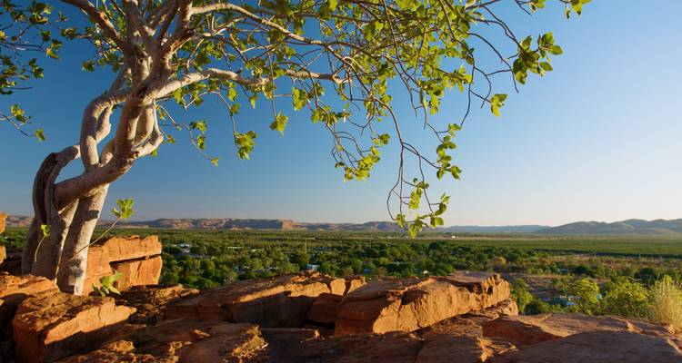 Mirador rocoso a la sombra de un árbol solitario que domina un amplio valle verde y cordilleras lejanas bajo un cielo despejado