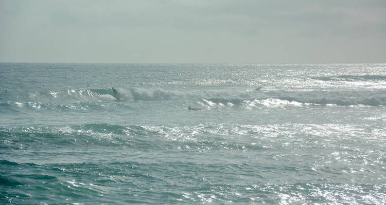 Vue voilée des vagues océaniques avec de petits surfeurs chevauchant la déferlante sous une lumière grise