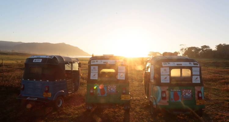 Drie tuk-tuks geparkeerd in een open veld bij zonsopgang met zonnegloed en mistige heuvels erachter.