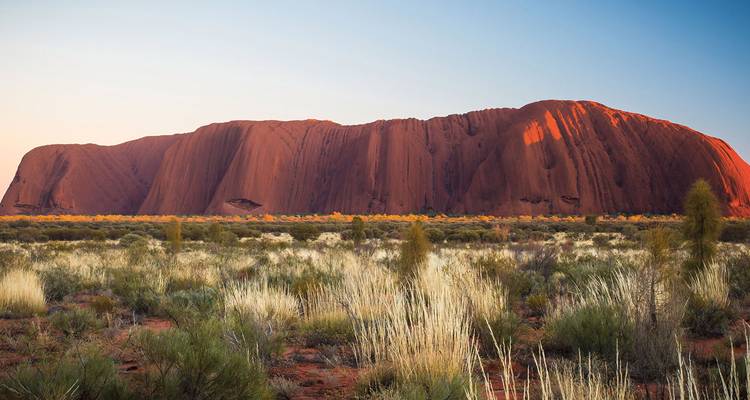 Enorme rode zandstenen monoliet van Uluru die bij zonsopgang boven het droge grasland in het centrum van Australie gloeit.