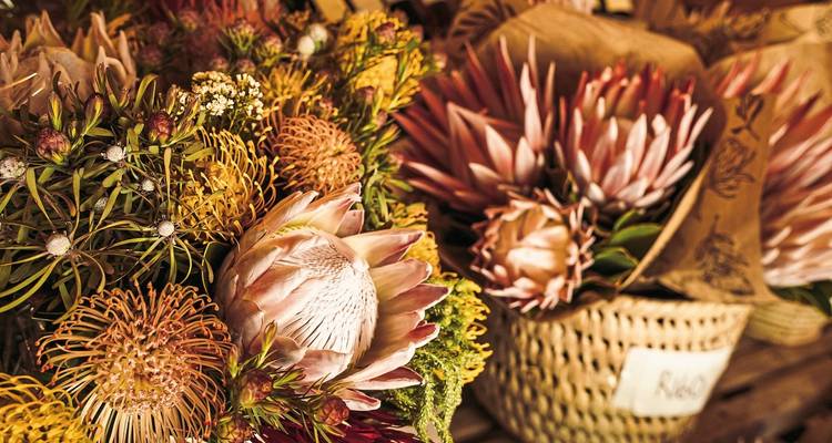 Vibrant bouquet of South African protea and pincushion flowers at a market stall
