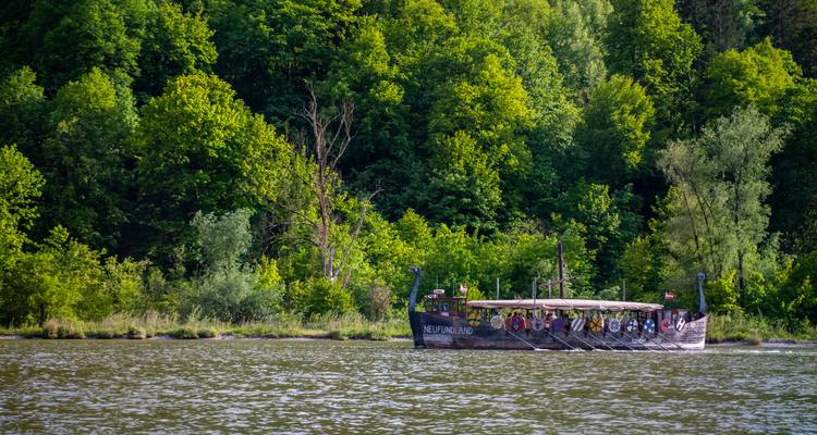 Una réplica de un barco largo vikingo navega frente a un denso bosque verde junto a un río ancho.