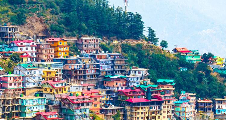Farbenfrohe Häuser an einem Berghang erstrecken sich einen steilen Hang hinab inmitten von Zedernwäldern in der himalayischen Stadt.