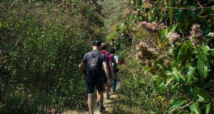 Groupe de routards faisant une randonnée le long d'un étroit sentier de jungle entouré d'une végétation verte dense.