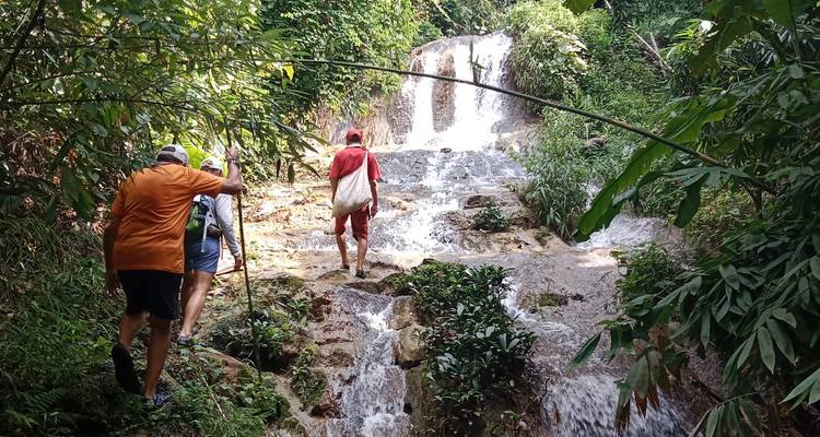 Les voyageurs munis de bâtons de marche montent une petite cascade de jungle qui dégringole sur des marches rocheuses au milieu d'une végétation luxuriante.