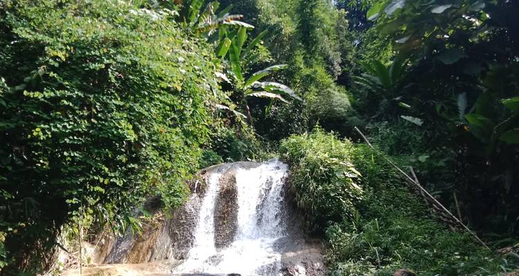 Cascade tropicale se précipitant sur des surplombs rocheux, entourée d'une végétation verdoyante dense et de bananiers.