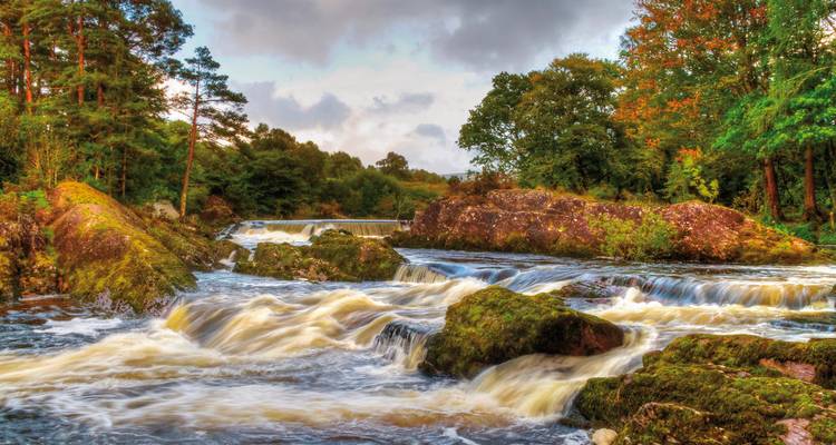 Üppiger Waldfluss mit kaskadierenden Stromschnellen und moosbedeckten Felsen in County Kerry.