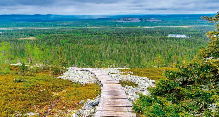 Ein hölzerner Steg führt über einen ausgedehnten grünen borealen Wald mit entfernten Hügeln unter einem düsteren Himmel.