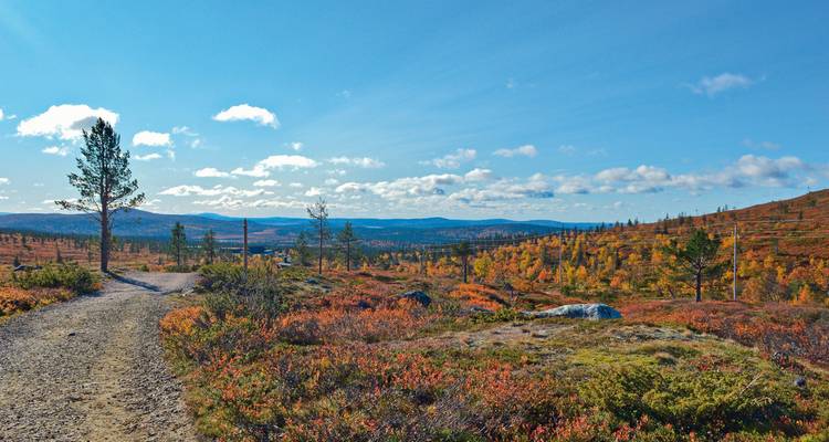 Ein Kiesweg schlängelt sich durch die farbenfrohe Herbsttundra unter einem klaren blauen Himmel in Lappland.