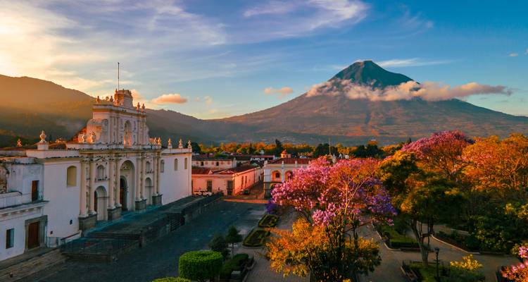 El dorado amanecer ilumina con luz cálida la catedral de Antigua y las jacarandas en flor con el Volcán de Agua al fondo.