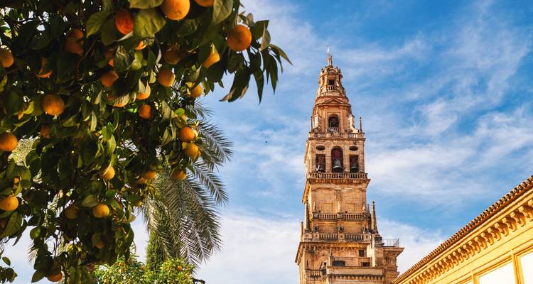 Les oranges pendent au premier plan avec le clocher de Córdoba derrière un ciel bleu.
