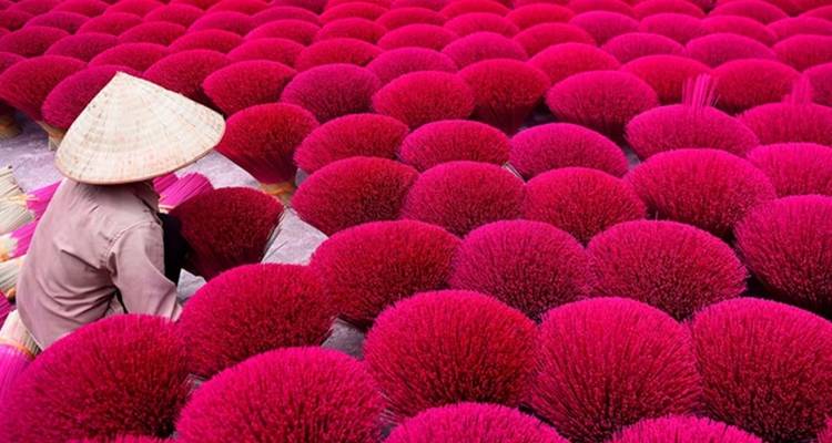 Top-down view of bright magenta incense sticks drying in circular bundles with a conical-hat worker tending.