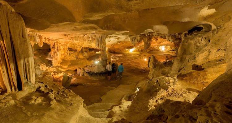 Visitors explore a spacious limestone cavern illuminated by warm lights and surrounded by stalactites.