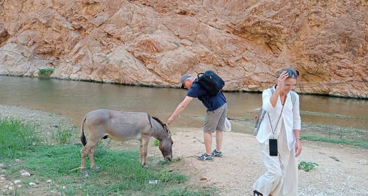 Un voyageur se penche pour caresser un âne à une rivière de canyon peu profond tandis qu'une autre femme passe à proximité.