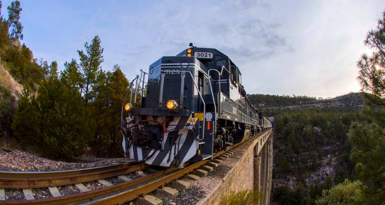 Gros plan d'une locomotive moderne émergeant sur un pont dans un canyon boisé.