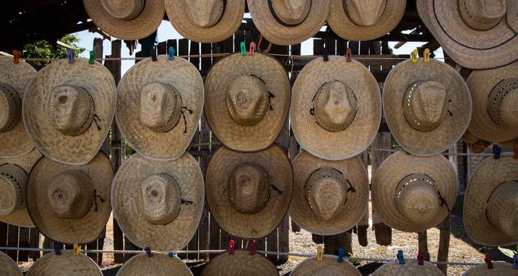 Plusieurs chapeaux de paille de type sombrero disposés soigneusement sur un mur en bois dans un marché en plein air.