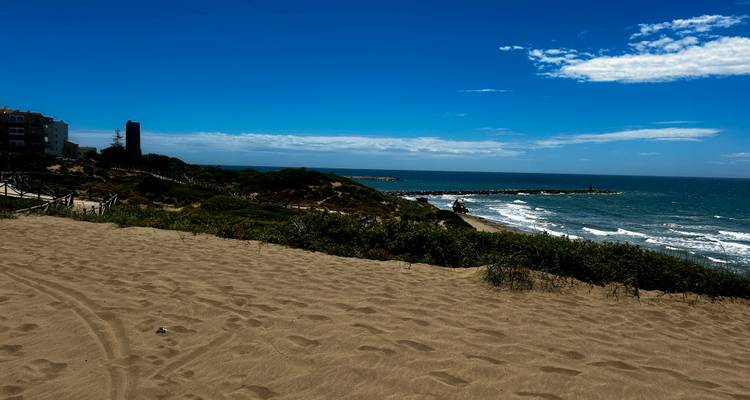 Vaste plage de sable avec végétation dunaire et jetée lointaine sous un ciel bleu dégagé