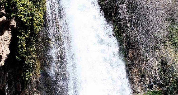 Een hoog wit waterval stort neer langs een rotsachtige klif tussen kale takken en groen.