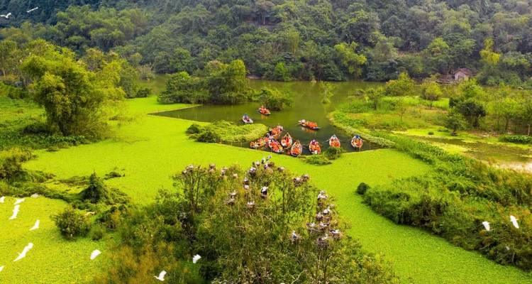 Los turistas reman botes naranjas a través de un humedal exuberante y verde lleno de aves blancas y rodeado de colinas boscosas.