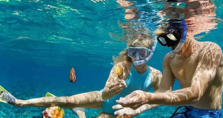 Two snorkelers exploring clear blue water with small tropical fish around them.