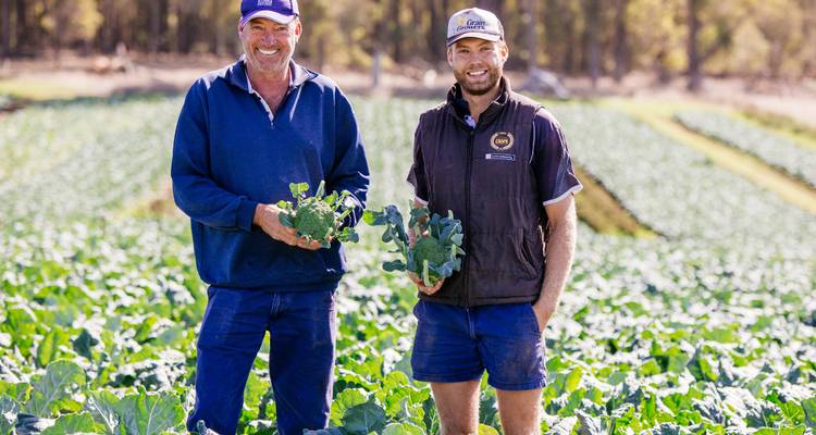 Dos agricultores sonrientes están de pie en un campo de brócoli sosteniendo orgullosamente verduras recién cosechadas.