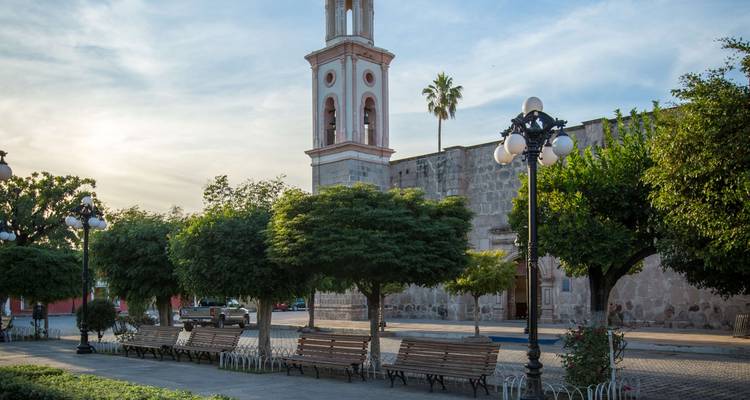 Place tranquille avec des bancs en bois, des arbres taillés et une tour d'église historique en pierre à la lumière de fin d'après-midi