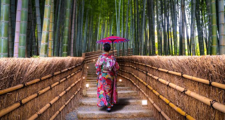 Une femme vêtue d'un kimono aux couleurs éclatantes, munie d'un parasol rouge, gravit des marches en pierre à travers un dense bosquet de bambou verdoyant bordé de clôtures tissées.