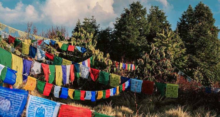 Des drapeaux de prière tibétains colorés flottent parmi les sapins à feuillage persistant sous un ciel partiellement nuageux.