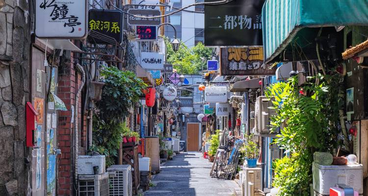 Petite ruelle étroite et pittoresque remplie d'enseignes de boutiques colorées et de plantes dans un quartier urbain japonais