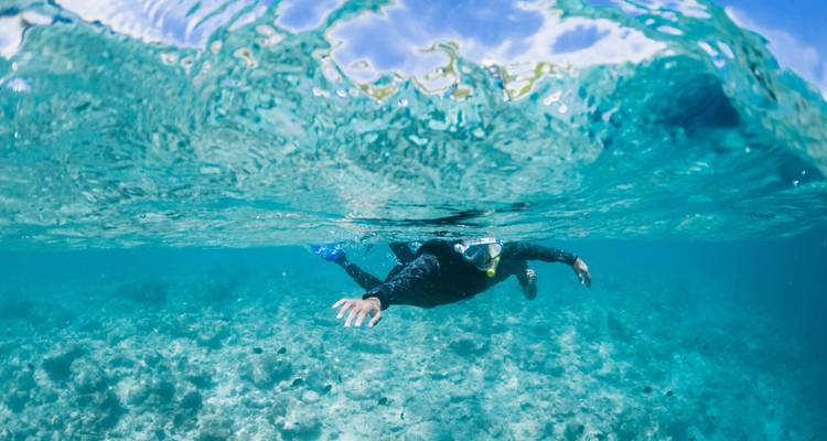 Un plongeur en apnée glissant juste sous la surface de l'eau dans une mer bleu clair.