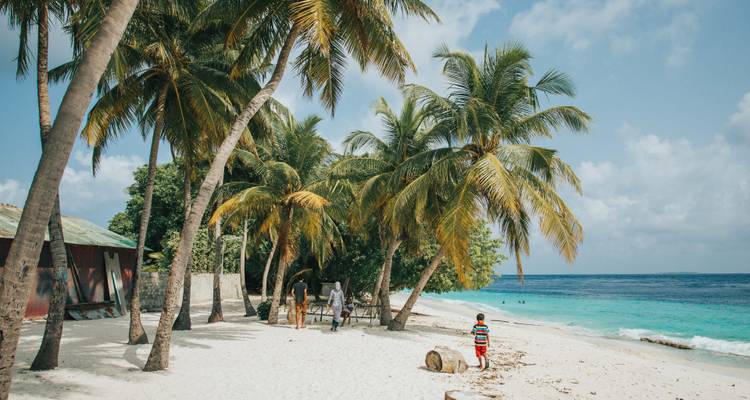 Plage de sable blanc bordée de palmiers penchés où les adultes et les enfants profitent du rivage.