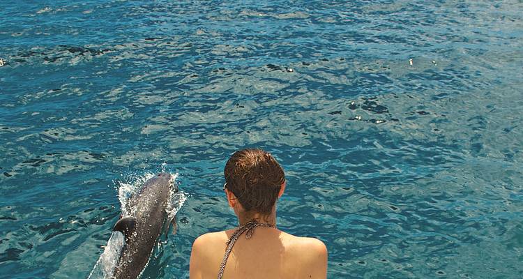 Une femme assise au bord d'un bateau regardant un dauphin qui émerge dans les eaux cristallines d'un océan bleu.