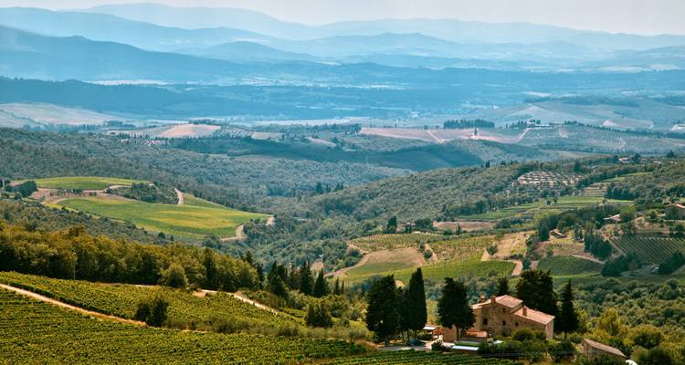 Vista panorámica expansiva sobre viñedos ondulantes y valles boscosos en Chianti.
