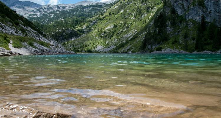 Lac alpin d'une limpidité cristalline aux tons verts et turquoise encadré par des montagnes forestières abruptes.