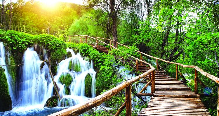 Lush green forest with cascading waterfalls and wooden boardwalk lit by warm sunlight