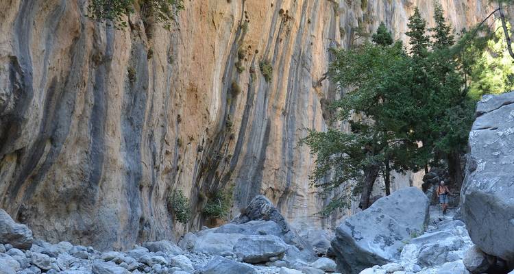 Un randonneur se tient, minuscule, sous des murs de calcaire striés qui s'élèvent majestueusement et des pins dans une gorge spectaculaire.