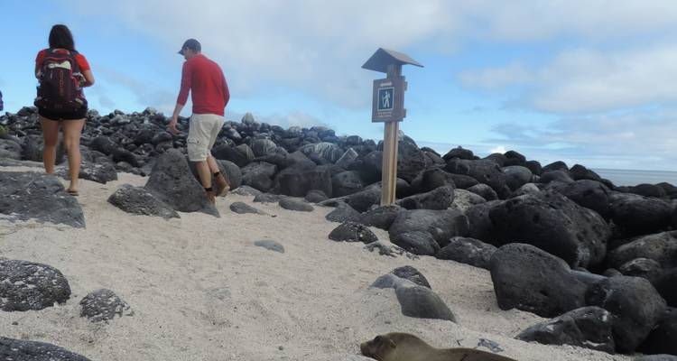 Los viajeros caminan por un sendero rocoso de la costa mientras un león marino descansa en la arena.