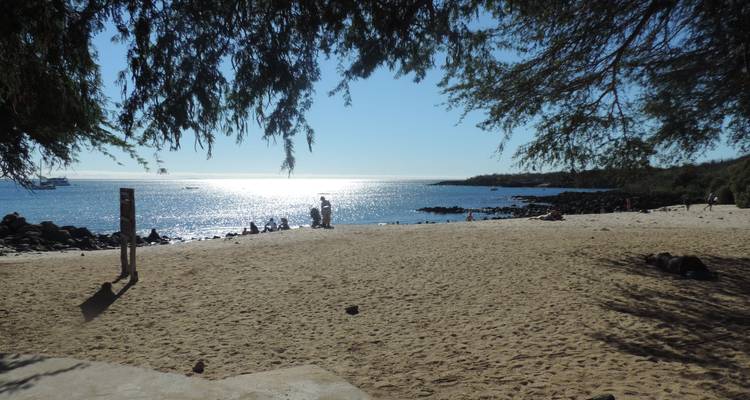 El sol brilla en el océano mientras los visitantes se relajan en una amplia playa de arena blanca bajo la sombra de las ramas que cuelgan.
