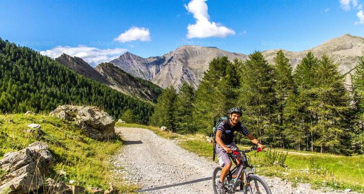 Un ciclista de montaña pedalea por un sendero rocoso del bosque con crestas alpinas a lo lejos.