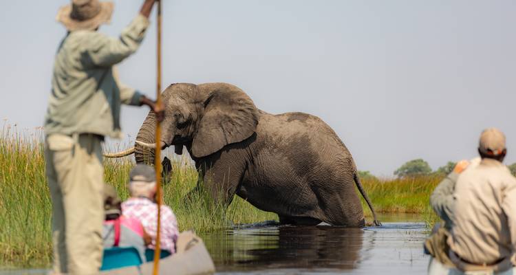 Les canotiers observent un grand éléphant qui traverse les terres humides peu profondes à gué.
