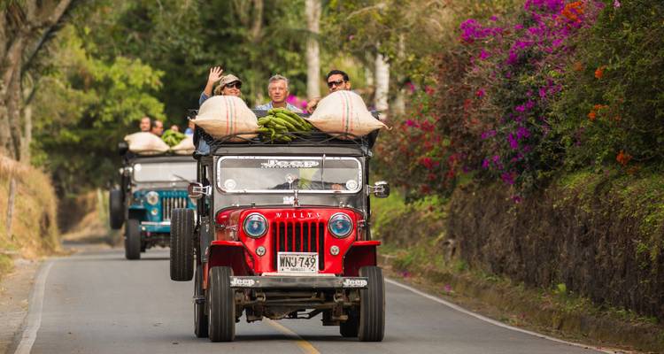 Los turistas conducen clásicos jeeps Willys rojos apilados con sacos de productos agrícolas por un camino rural de café.