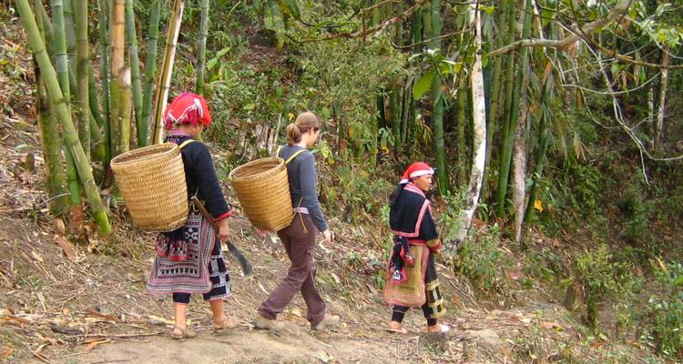 Los excursionistas que usan canastas tejidas tradicionales caminan por un sendero de tierra a través de un bosque de bambú denso.