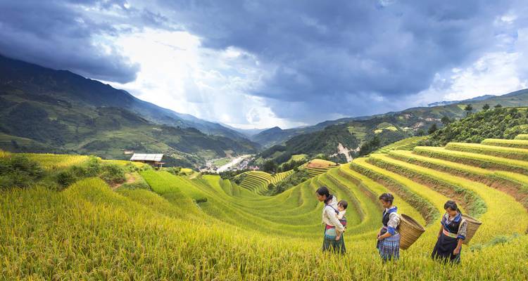 Mujeres locales y un niño caminan por terrazas de arroz dorado con vistas amplias del valle bajo nubes dramáticas.