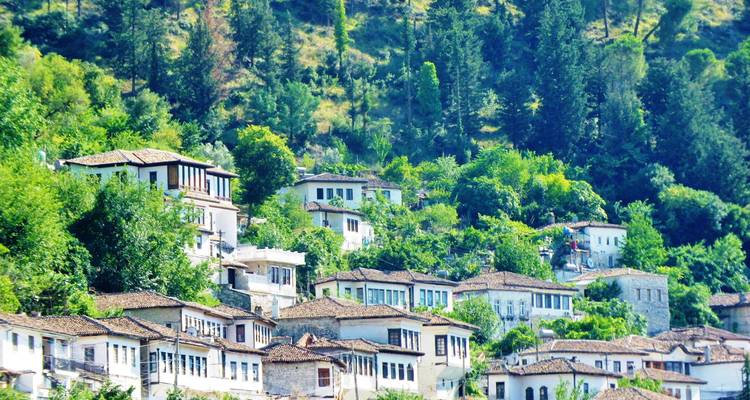 Les maisons blanches de style ottoman s'étagent sur une colline verdoyante sous de grands pins dans la ville historique albanaise de Berat.