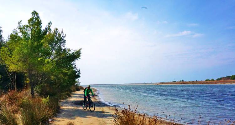 Un cycliste emprunte une piste sablonneuse entre la forêt de pins et le rivage scintillant du lagon sous un ciel bleu dégagé.