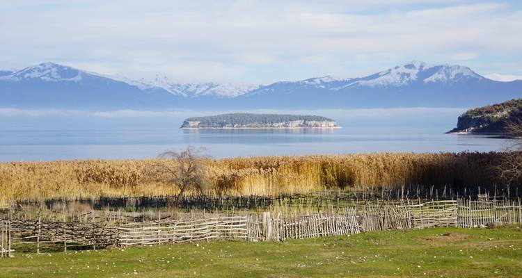 Un lac paisible bordé de roseaux dorés avec une petite île boisée et des montagnes enneigées à l'horizon.